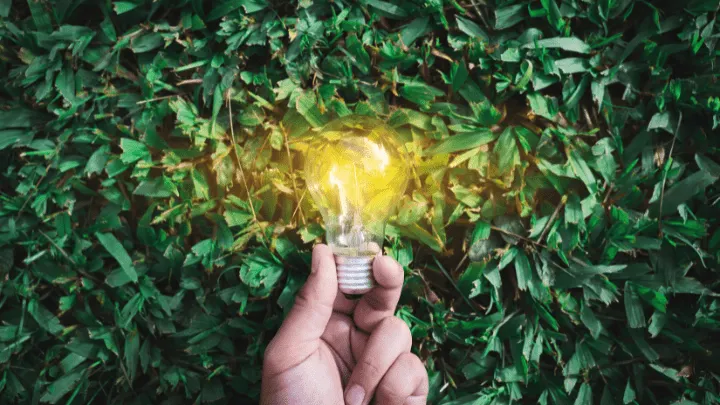 Sustainability and Innovation